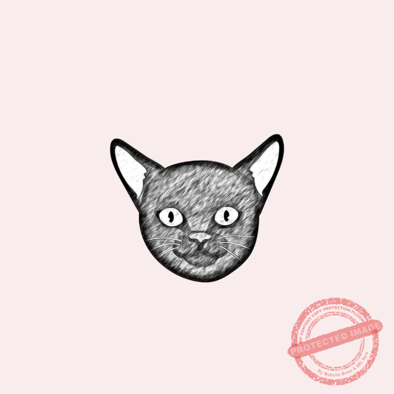 cat face