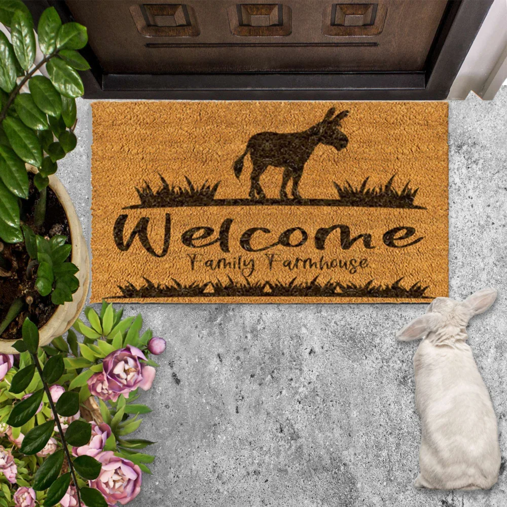 Donkey welcome family farmhouse