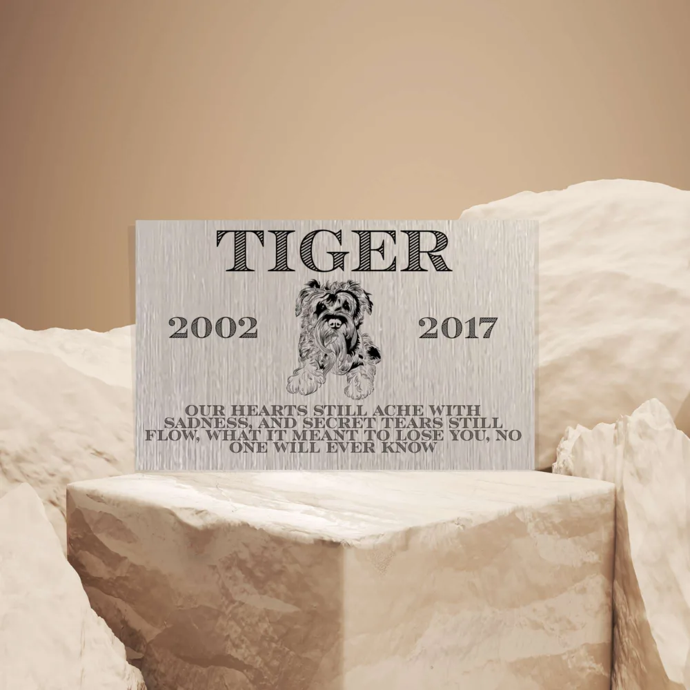 Tiger Sketched