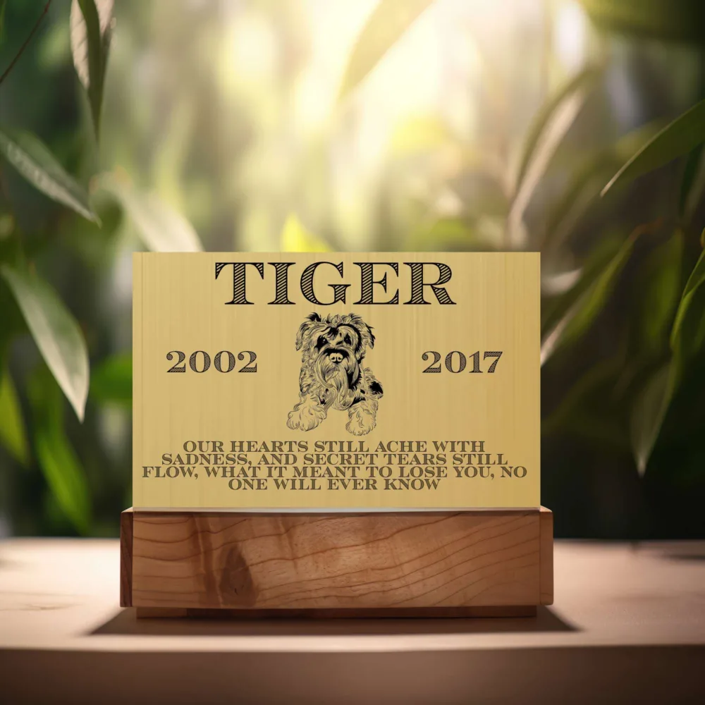 Tiger Sketched